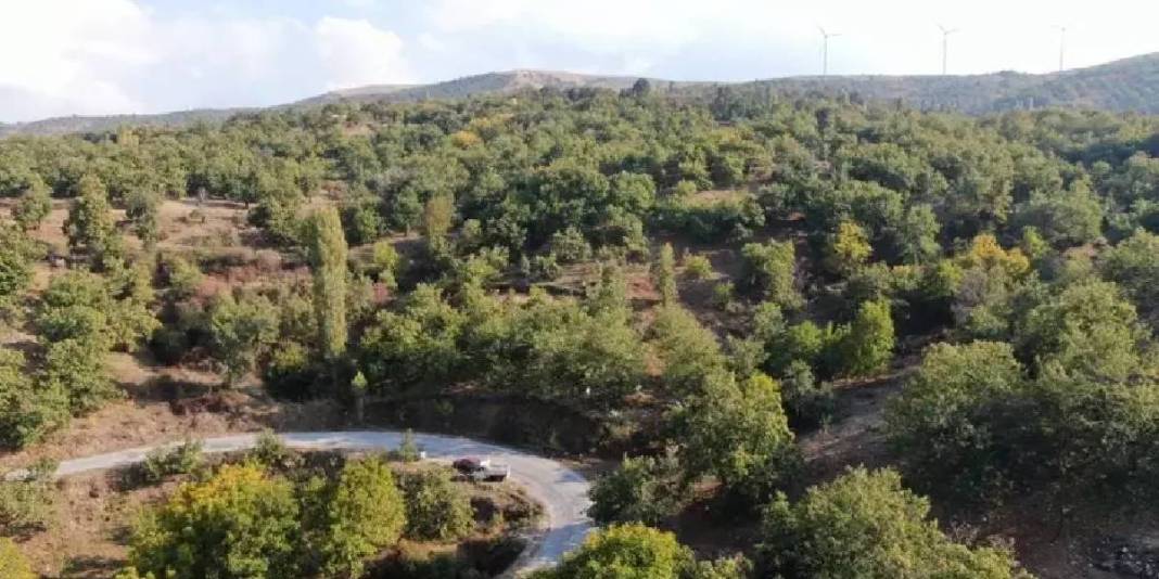 İşçi olmadan hasat başladı! Yevmiyeyi 5.000 TL’ye çıkarmaları da yaramadı: 20 günlük mesai her şeye rağmen sürecek 2